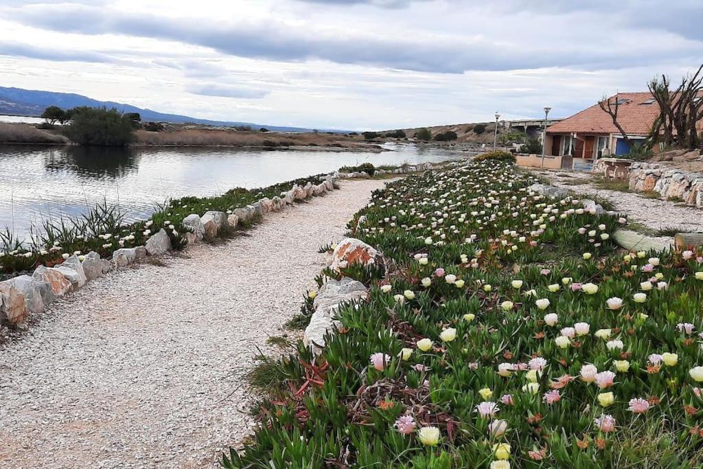 Maisonnette Entre Etang Et Plage Leucate Exterior photo